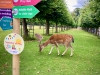 Dunham Massey, Altrincham [27/07/2024]