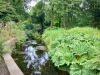 Dunham Massey, Altrincham [27/07/2024]