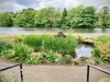 Belper River Gardens, Derbyshire [14/06/2024]