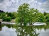 Belper River Gardens, Derbyshire [14/06/2024]