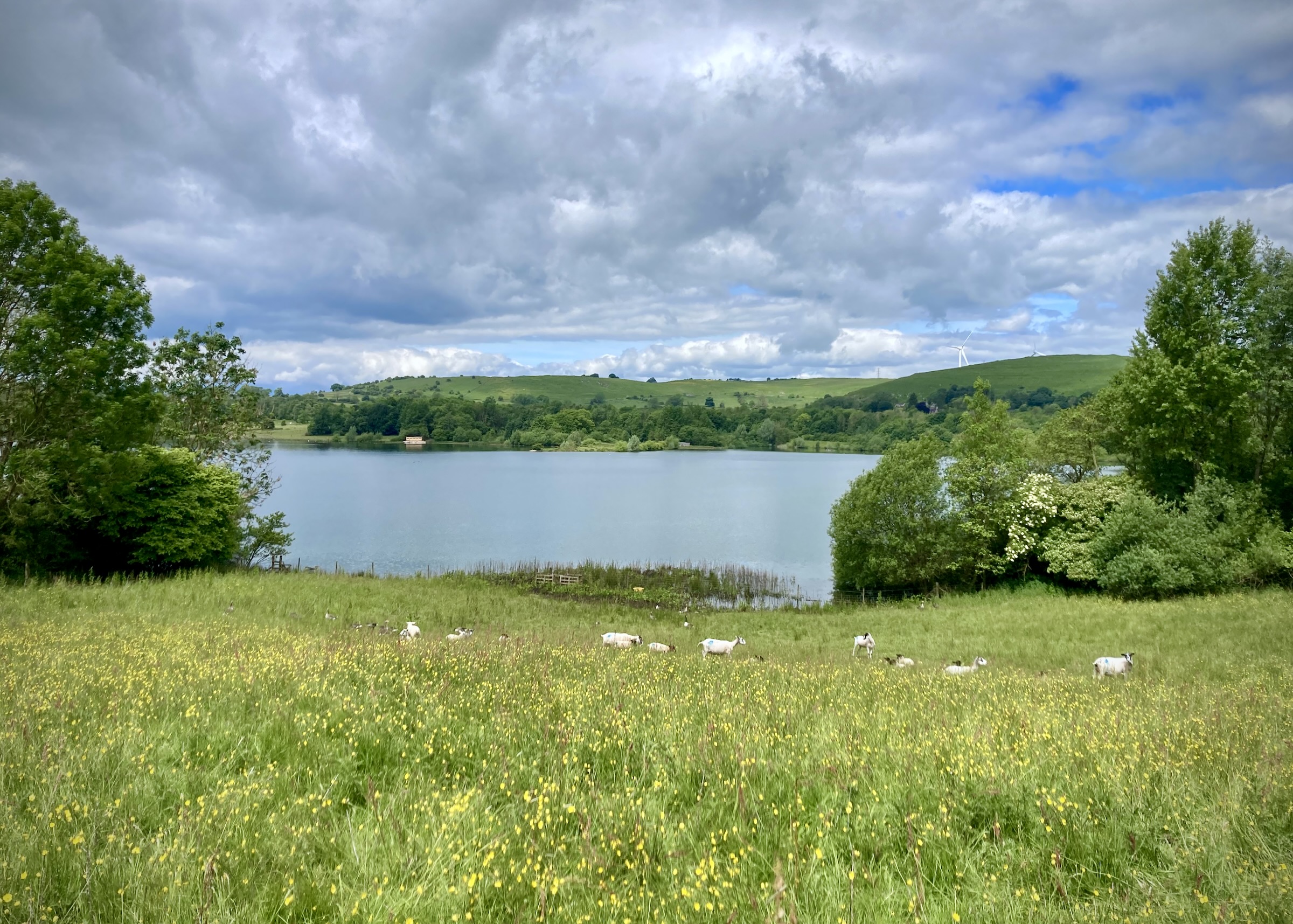 Carsington Water, Derbyshire