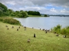 Carsington Water, Derbyshire [09/06/2024]