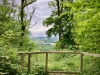 Crich Tramway Village, Matlock [12/06/2024]