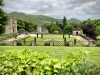 Ilam Park National Trust, Ashbourne [07/06/2024]