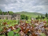 Ilam Park National Trust, Ashbourne [07/06/2024]