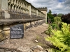 Ilam Park National Trust, Ashbourne [07/06/2024]