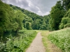 Ilam Park National Trust, Ashbourne [07/06/2024]