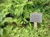 Ilam Park National Trust, Ashbourne [07/06/2024]