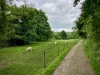 Ilam Park National Trust, Ashbourne [07/06/2024]