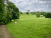 Ilam Park National Trust, Ashbourne [07/06/2024]