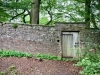 Ilam Park National Trust, Ashbourne [07/06/2024]