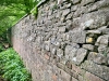 Ilam Park National Trust, Ashbourne [07/06/2024]