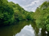 Matlock Bath, Derbyshire [10/06/2024]