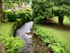 Matlock, Derbyshire [16/06/2024]