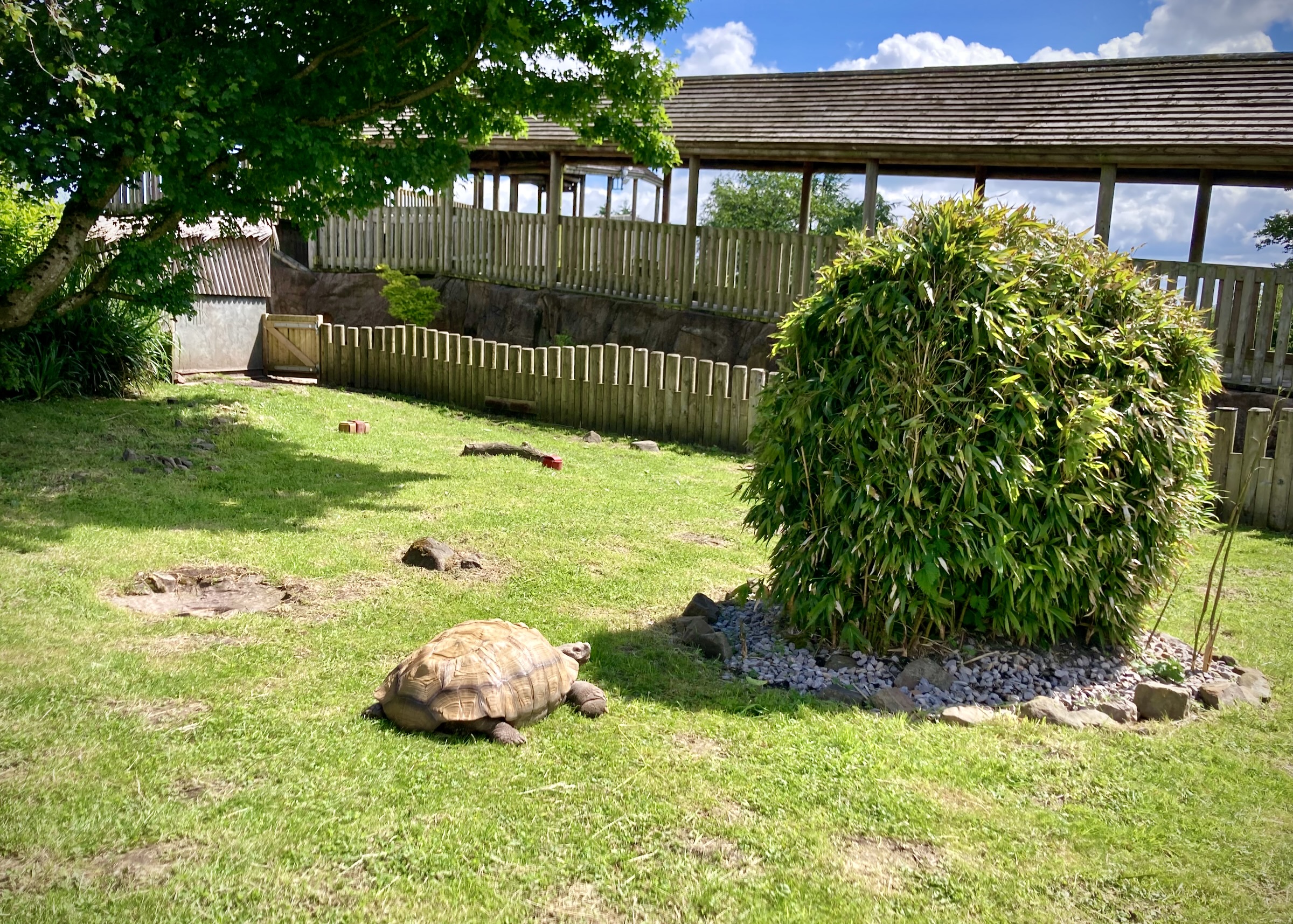 Peak Wildlife Park, Staffordshire