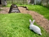 Peak Wildlife Park, Staffordshire [08/06/2024]