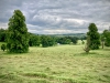 Thornbridge Estate, Derbyshire [11/06/2024]