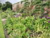 Beningbrough Hall, Yorkshire [10/05/2024]