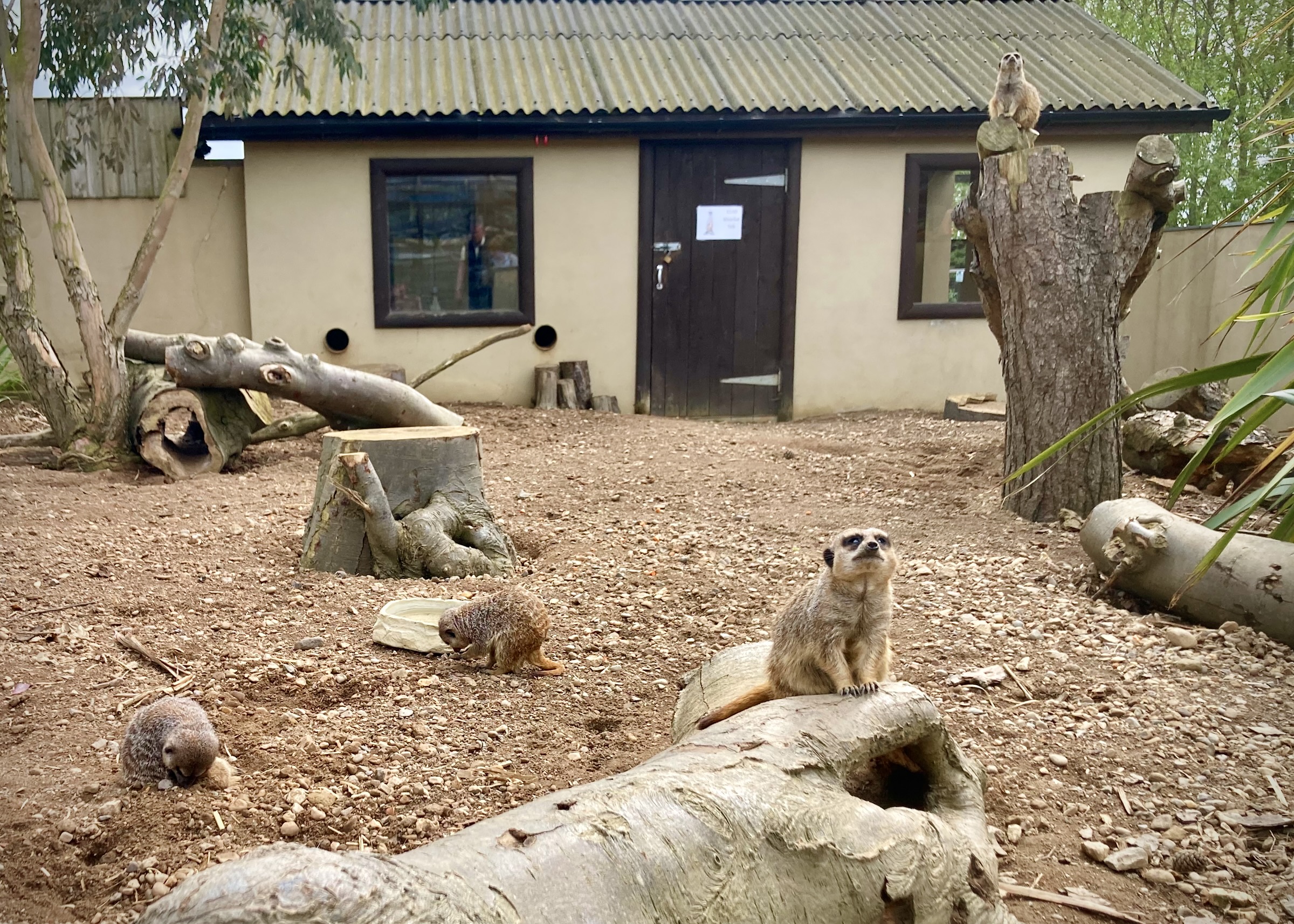 Filey Bird Garden & Animal Park, Filey, North Yorkshire