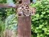 Filey Bird Garden & Animal Park [15/05/2024]