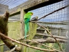 Filey Bird Garden & Animal Park [15/05/2024]