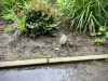 Peasholm Park & Miniature Train [14/05/2024]