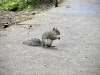 Peasholm Park & Miniature Train [14/05/2024]