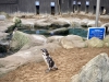 Scarborough Sea Life Centre [14/05/2024]