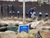 Scarborough Sea Life Centre [14/05/2024]