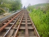 Scarborough South Cliff Gardens & Cliff Lift [16/05/2024]