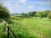 Walking The Cinder Track, Cloughton [12/05/2024]