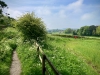 Walking The Cinder Track, Cloughton [12/05/2024]