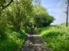 Walking The Cinder Track, Cloughton [12/05/2024]