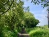 Walking The Cinder Track, Cloughton [12/05/2024]