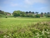 Walking The Cinder Track, Cloughton [12/05/2024]