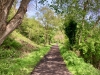 Walking The Cinder Track, Cloughton [12/05/2024]