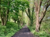 Walking The Cinder Track, Cloughton [12/05/2024]