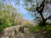 Walking The Cinder Track, Cloughton [12/05/2024]