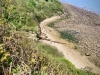 Walking The Cinder Track, Cloughton [12/05/2024]