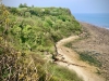 Walking The Cinder Track, Cloughton [12/05/2024]