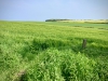 Walking The Cinder Track, Cloughton [12/05/2024]