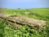 Walking The Cinder Track, Cloughton [12/05/2024]