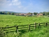 Walking The Cinder Track, Cloughton [12/05/2024]