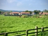 Walking The Cinder Track, Cloughton [12/05/2024]