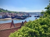 Whitby [13/05/2024]